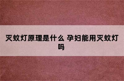 灭蚊灯原理是什么 孕妇能用灭蚊灯吗 